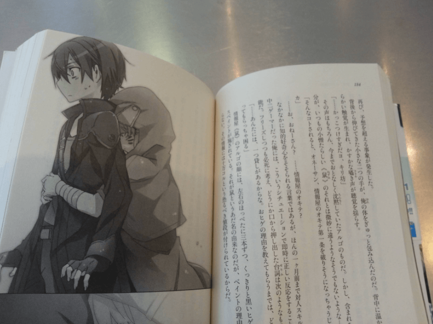 a chapter of Sword Art Online chapter